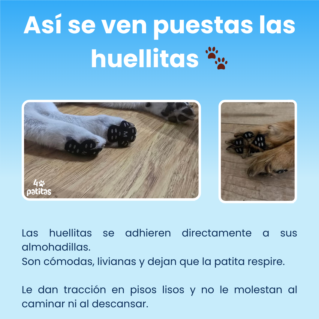 Huellitas Antideslizantes 🐶