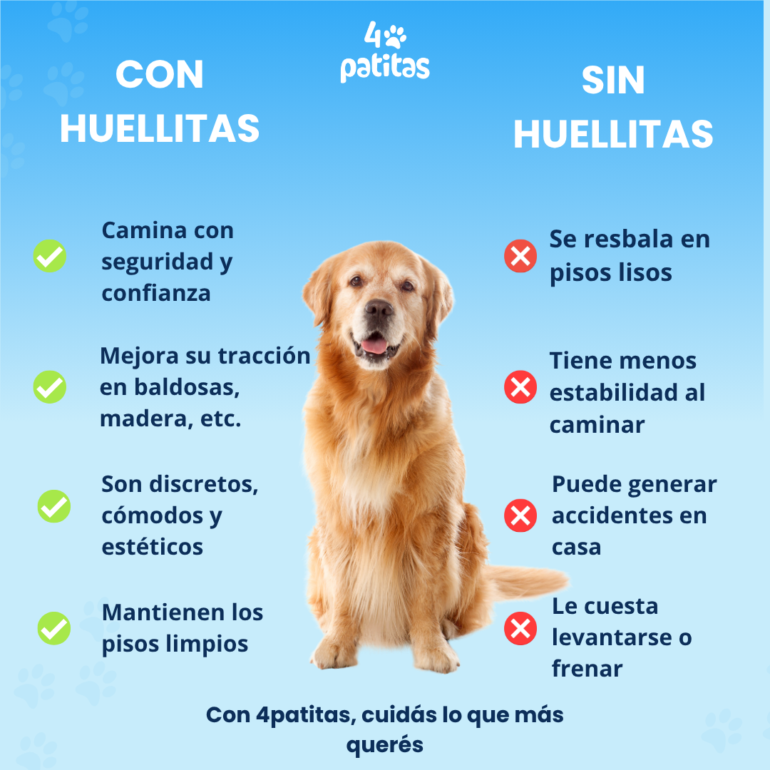 Huellitas Antideslizantes 🐶