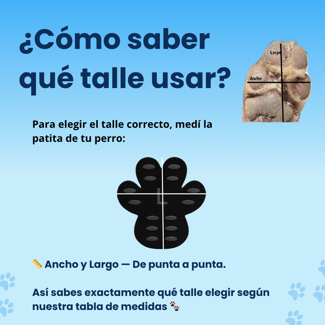 Huellitas Antideslizantes 🐶