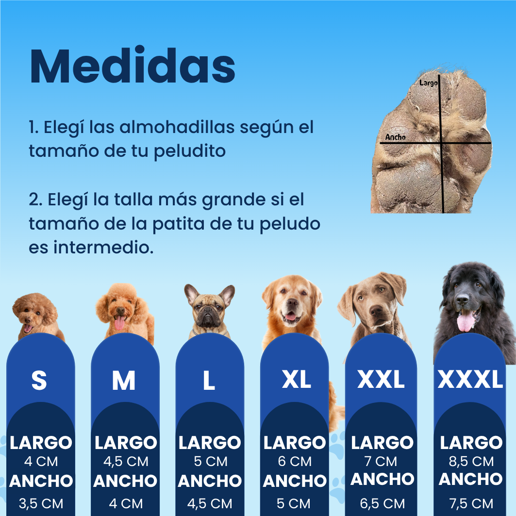Huellitas Antideslizantes 🐶
