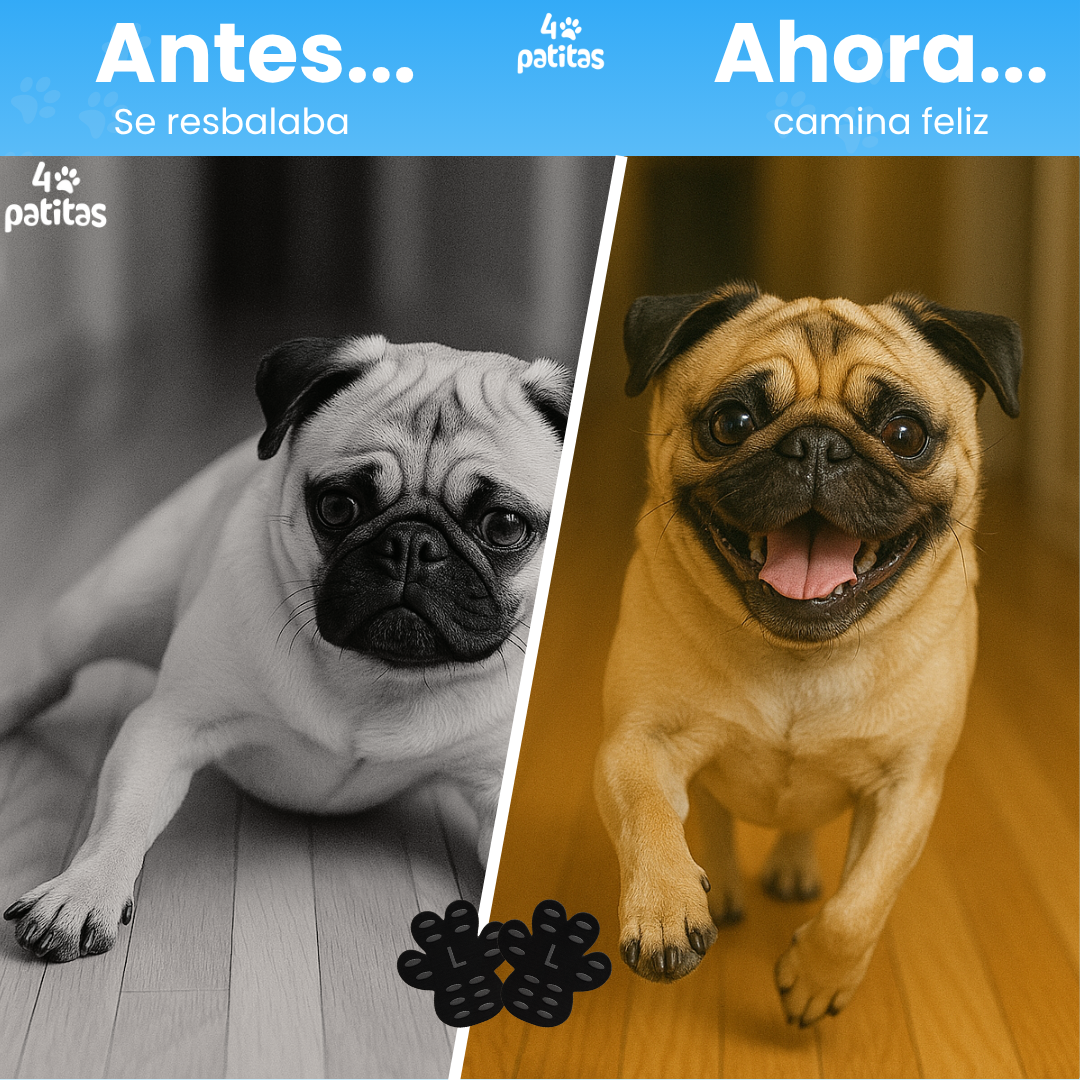 Huellitas Antideslizantes 🐶