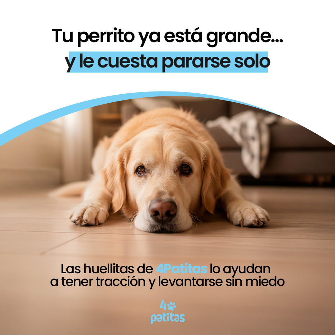 Huellitas Antideslizantes