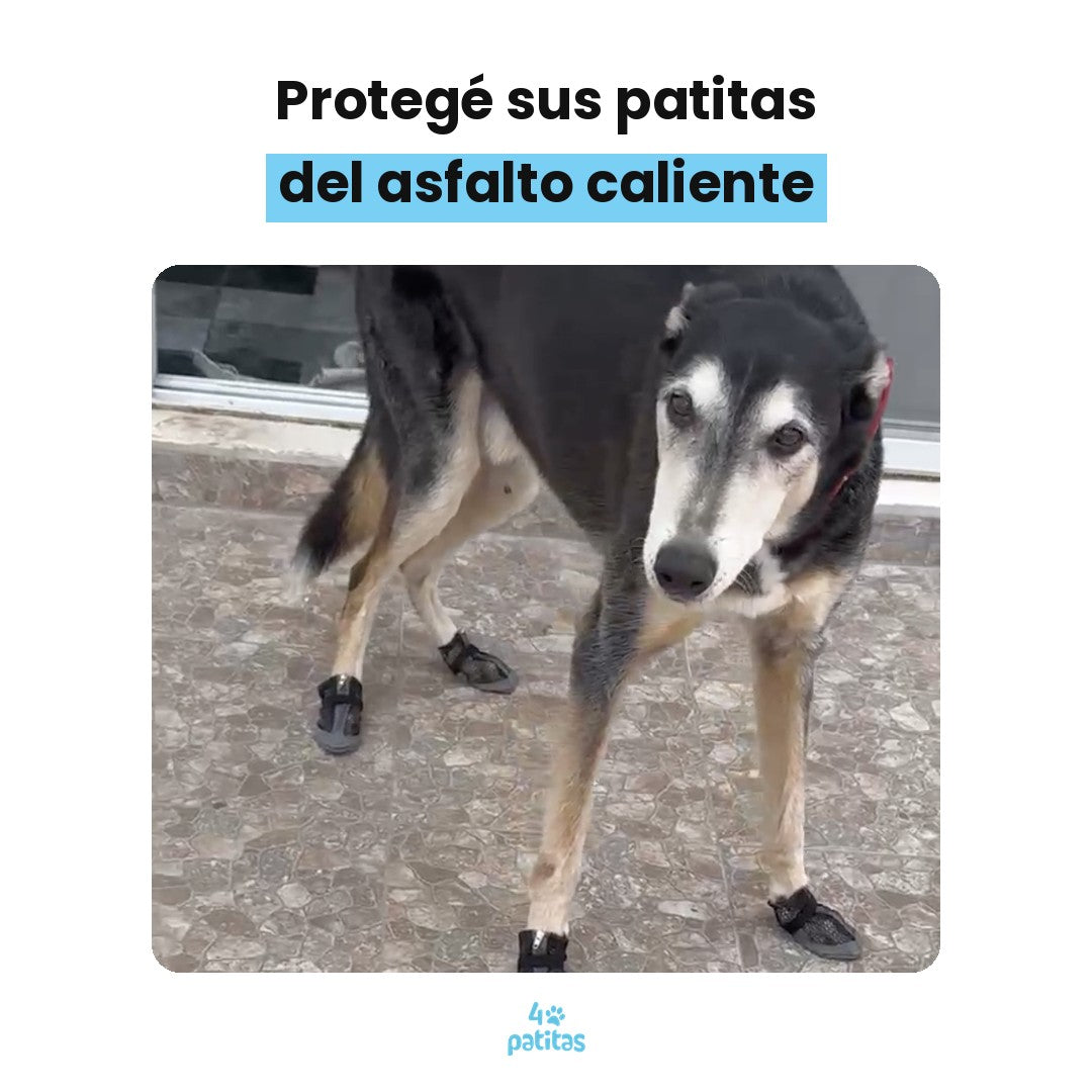 Botita Transpirable