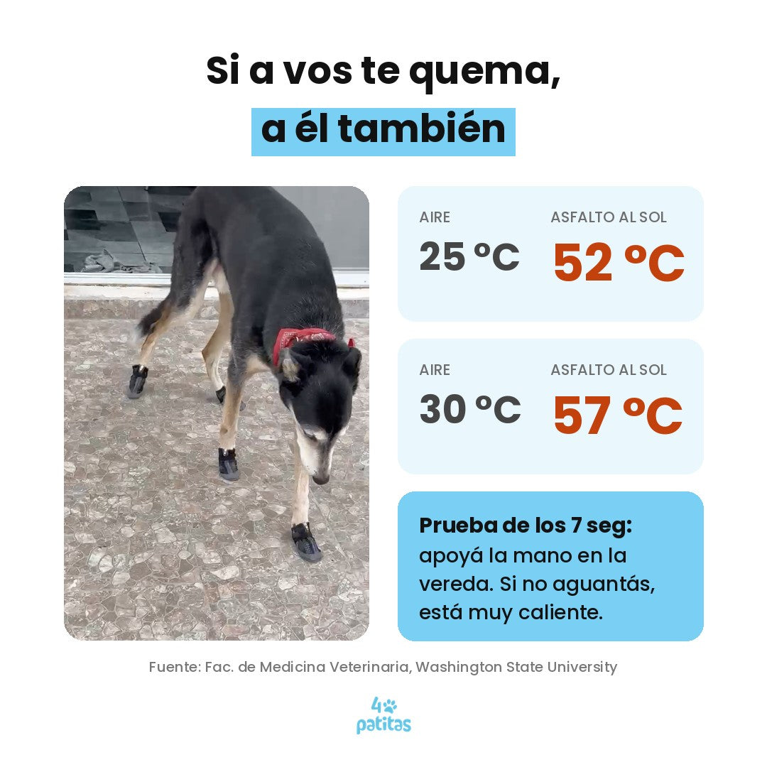Botita Transpirable