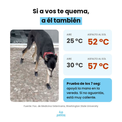 Botita Transpirable