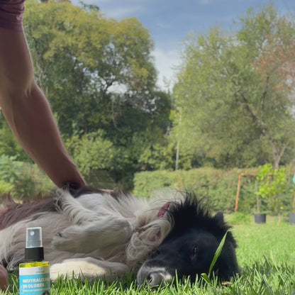 Neutralizador de Olores